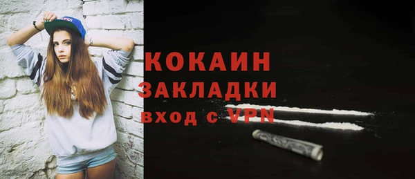 мет Дмитриев