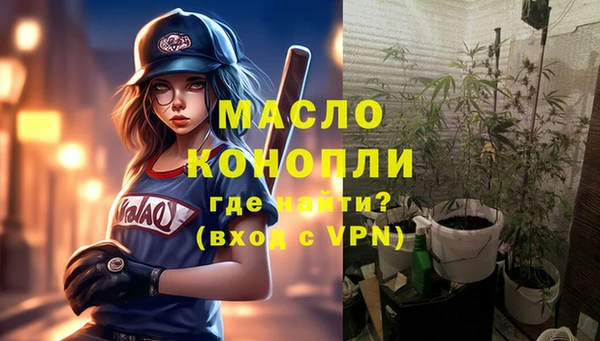 мет Дмитриев