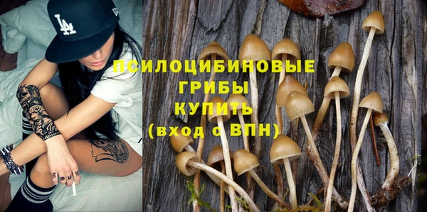 мет Дмитриев
